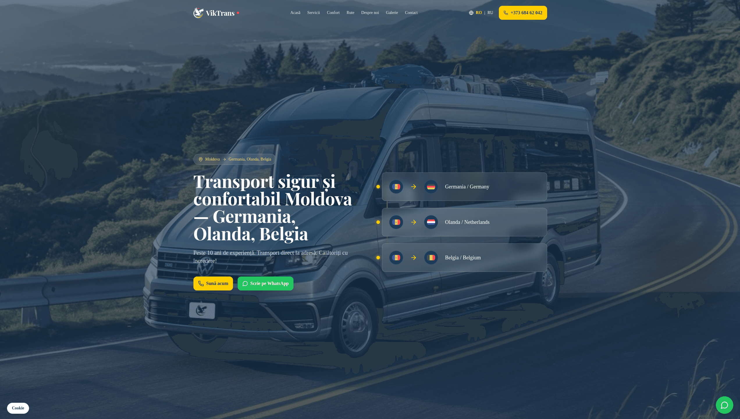 Screenshot al paginii principale VikTrans